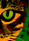 detail section of ART CAT. A Green and orange glow